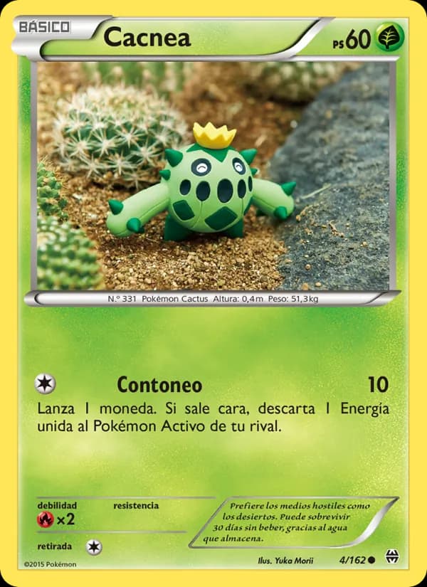 Cacnea card in Spanish