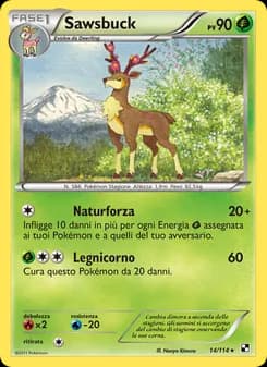 Sawsbuck card in Italian