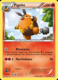Pignite card in Italian