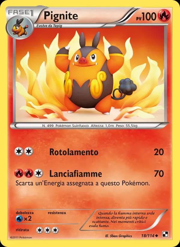 Pignite card in Italian