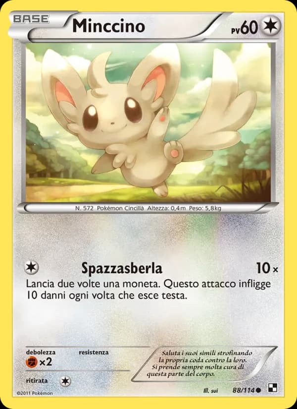 Minccino card in Italian