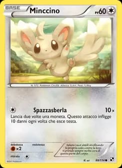 Minccino card in Italian
