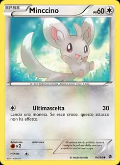 Minccino card in Italian