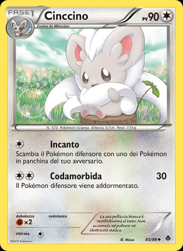 Cinccino card in Italian