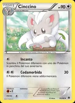 Cinccino card in Italian