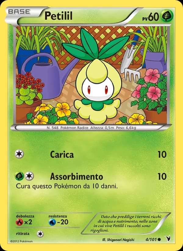 Petilil card in Italian