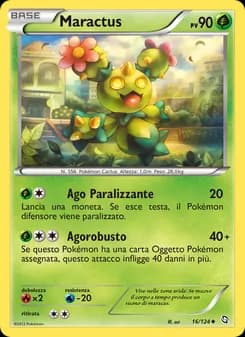 Maractus card in Italian