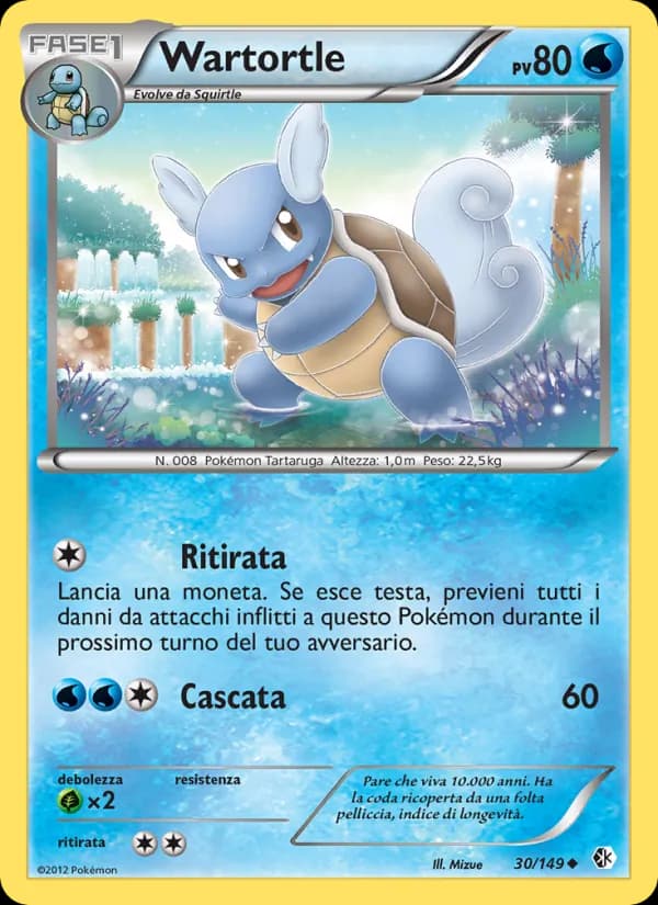 Wartortle card in Italian