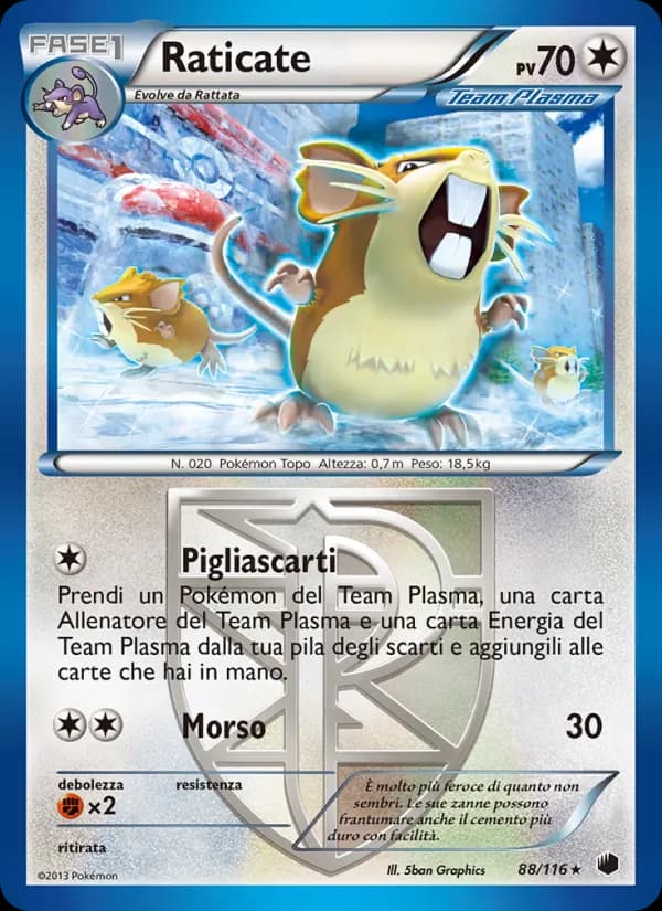 Raticate card in Italian