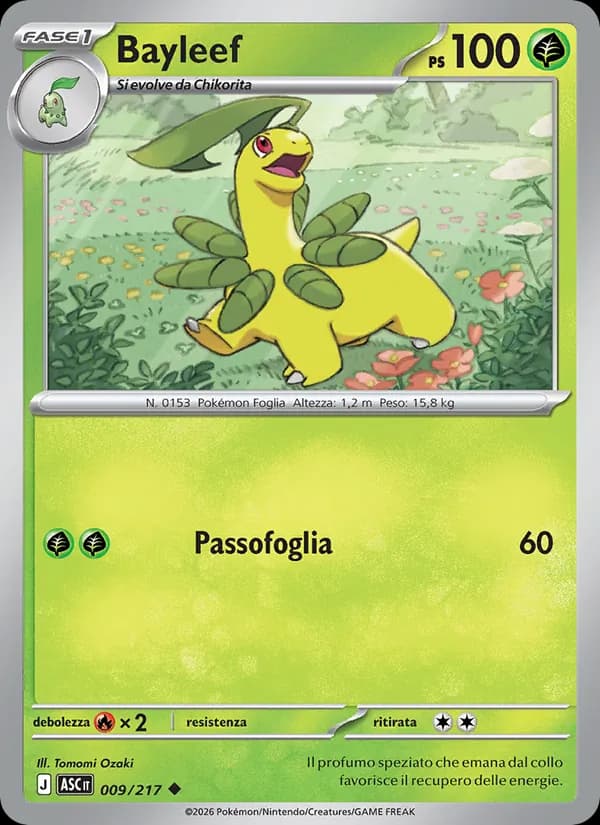 Bayleef card in Italian