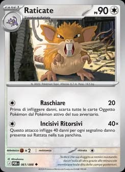 Raticate card in Italian