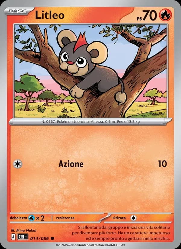 Litleo card in Italian