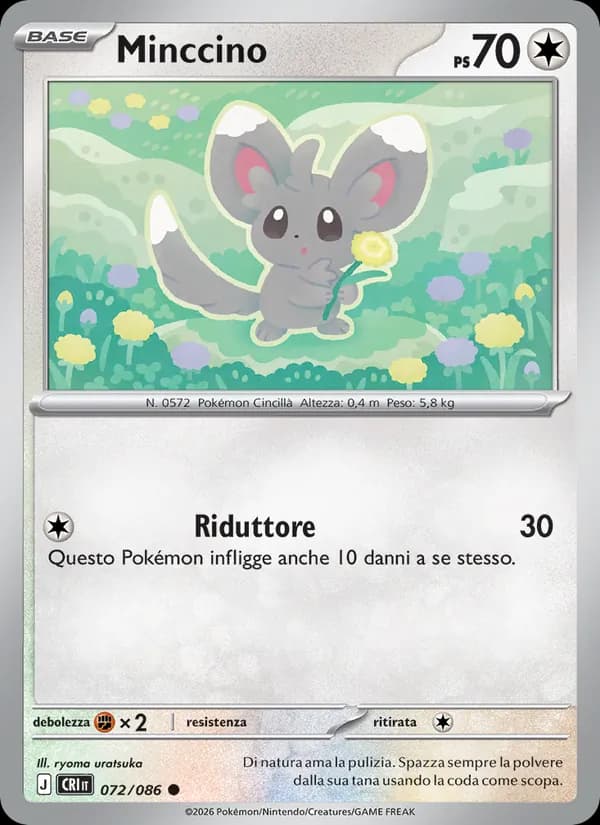 Minccino card in Italian