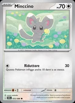 Minccino card in Italian