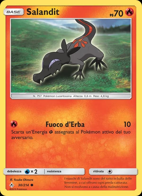 Salandit card in Italian
