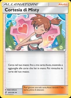 Cortesia di Misty card in Italian