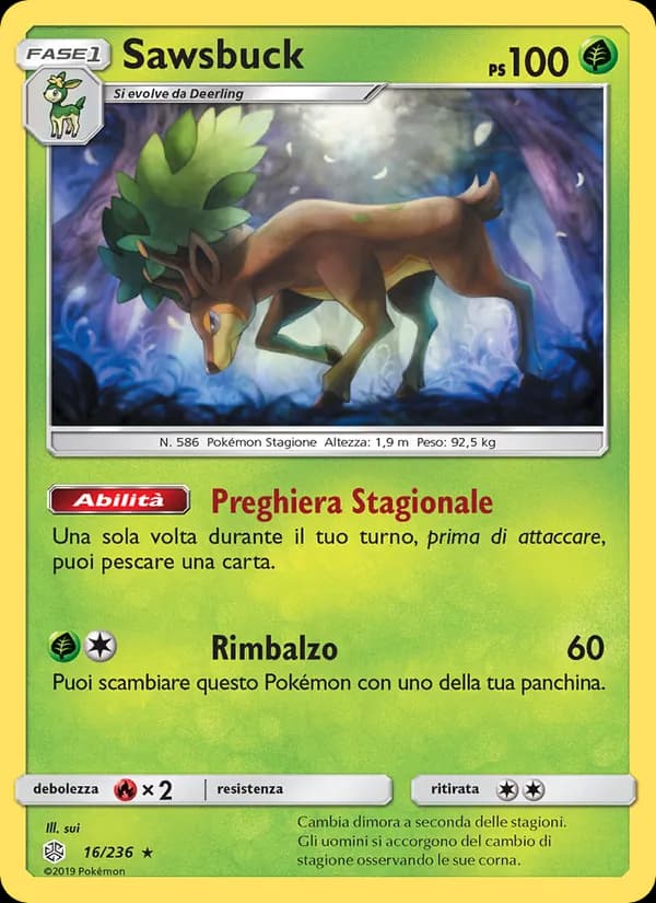 Sawsbuck card in Italian