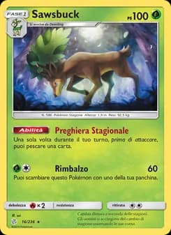 Sawsbuck card in Italian