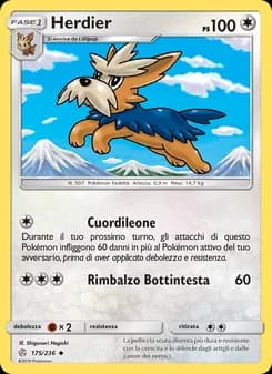 Herdier card in Italian