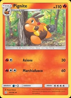 Pignite card in Italian