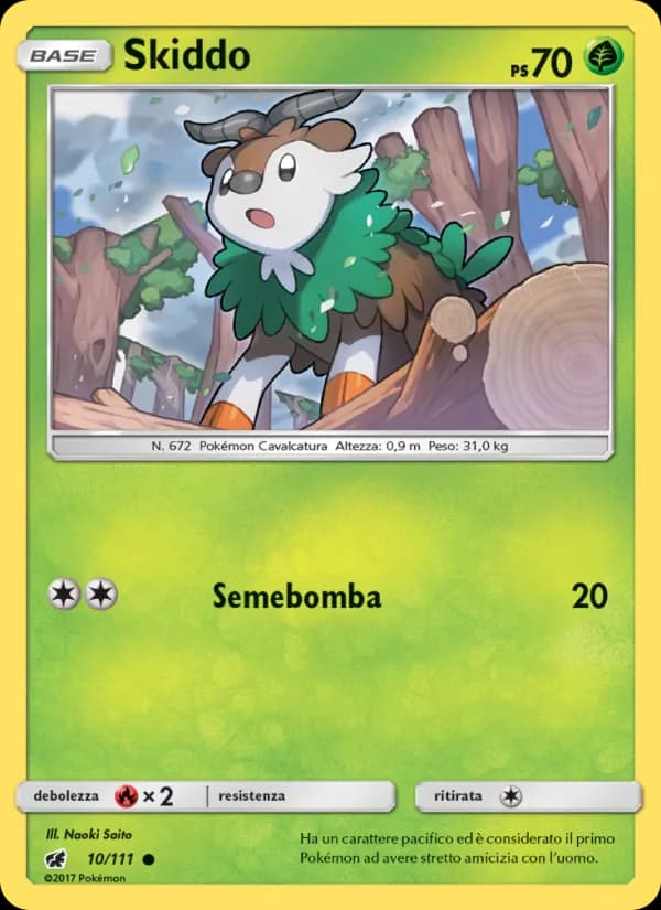 Skiddo card in Italian