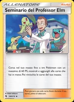 Seminario del Professor Elm card in Italian