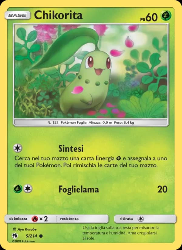 Chikorita card in Italian
