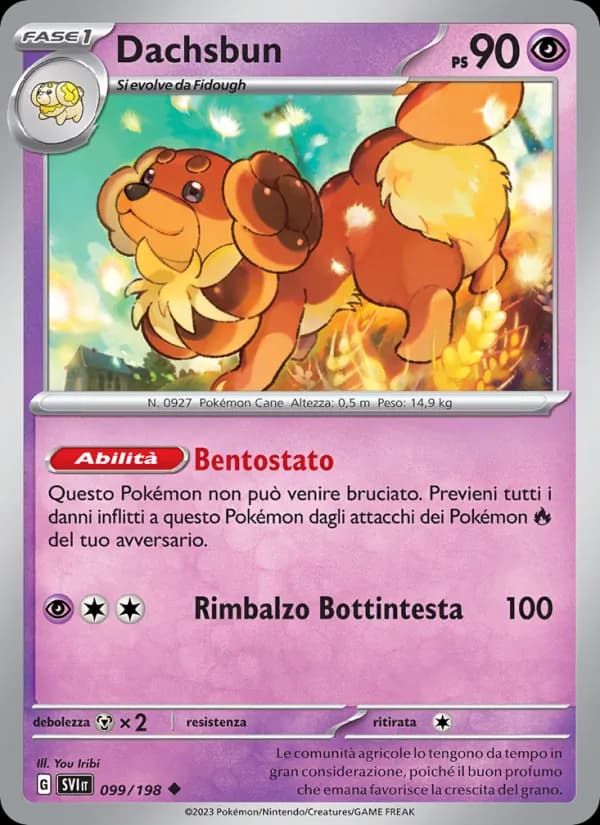 Dachsbun card in Italian