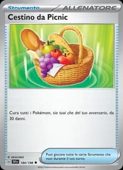Cestino da Picnic card in Italian