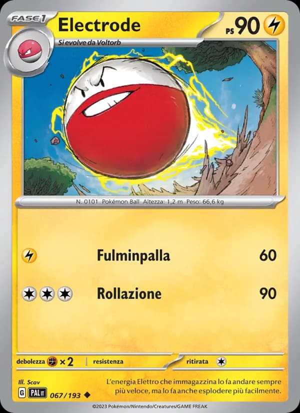 Electrode card in Italian