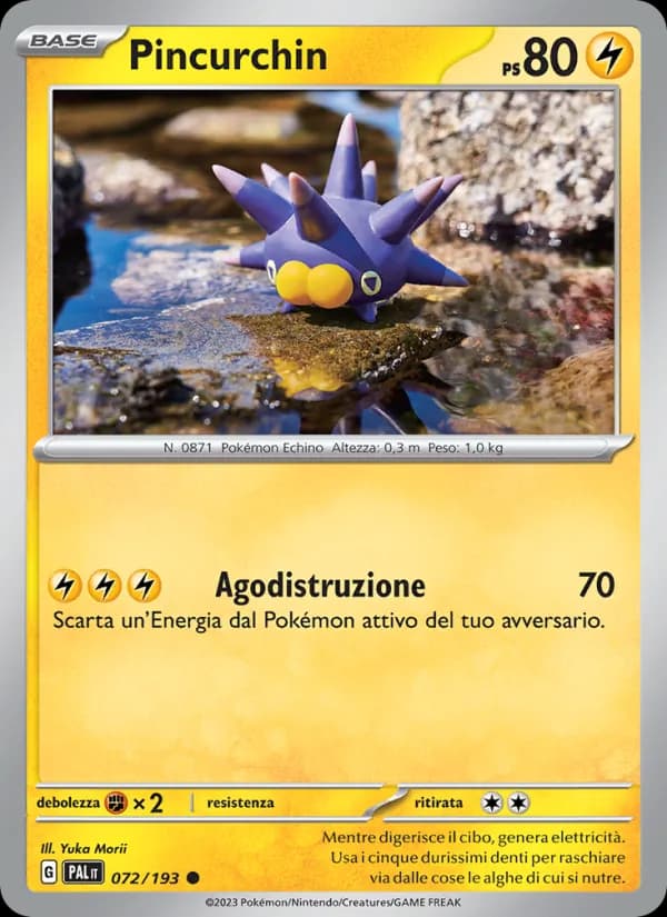 Pincurchin card in Italian