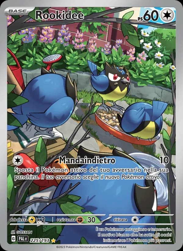 Rookidee card in Italian