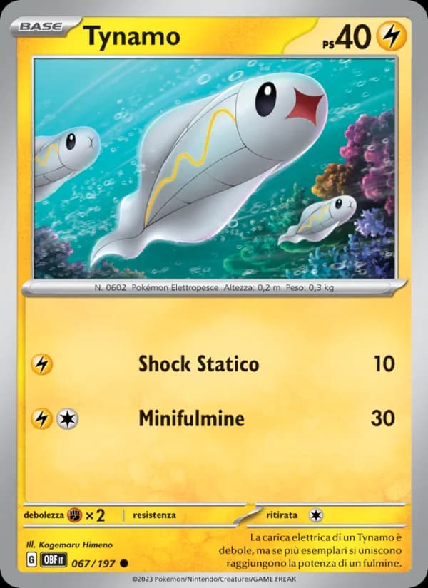 Tynamo card in Italian