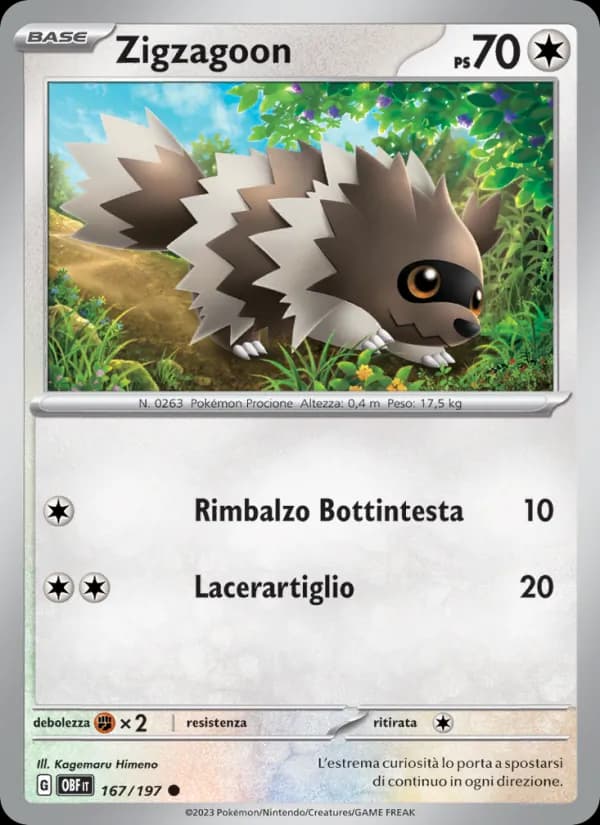 Zigzagoon card in Italian