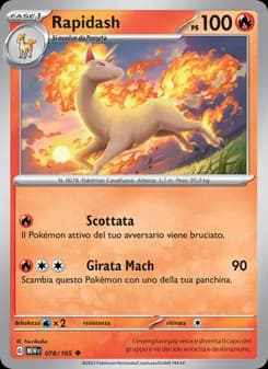 Rapidash card in Italian