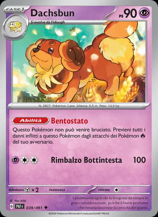 Dachsbun card in Italian