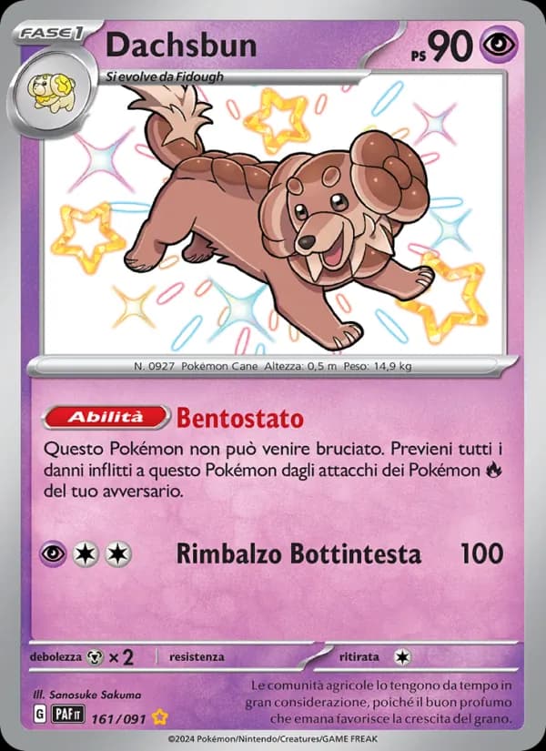 Dachsbun card in Italian