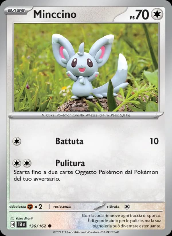 Minccino card in Italian
