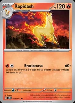 Rapidash card in Italian