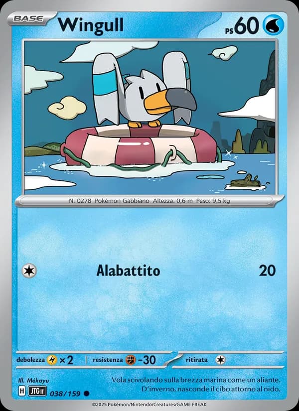 Wingull card in Italian