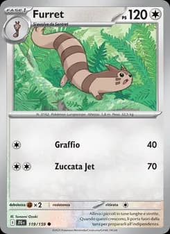 Furret card in Italian