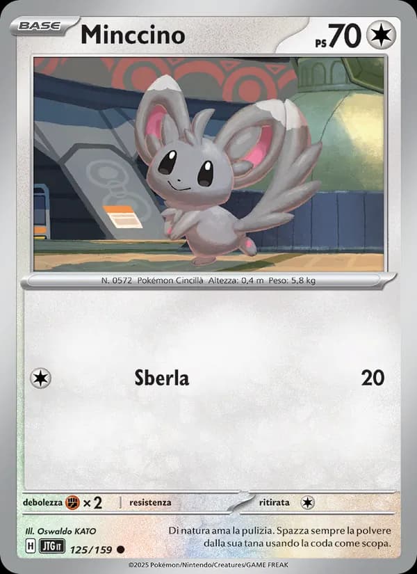 Minccino card in Italian