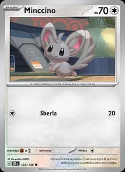 Minccino card in Italian