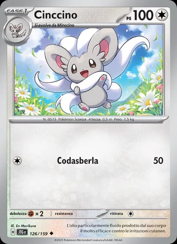 Cinccino card in Italian