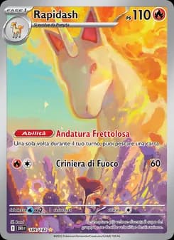 Rapidash card in Italian
