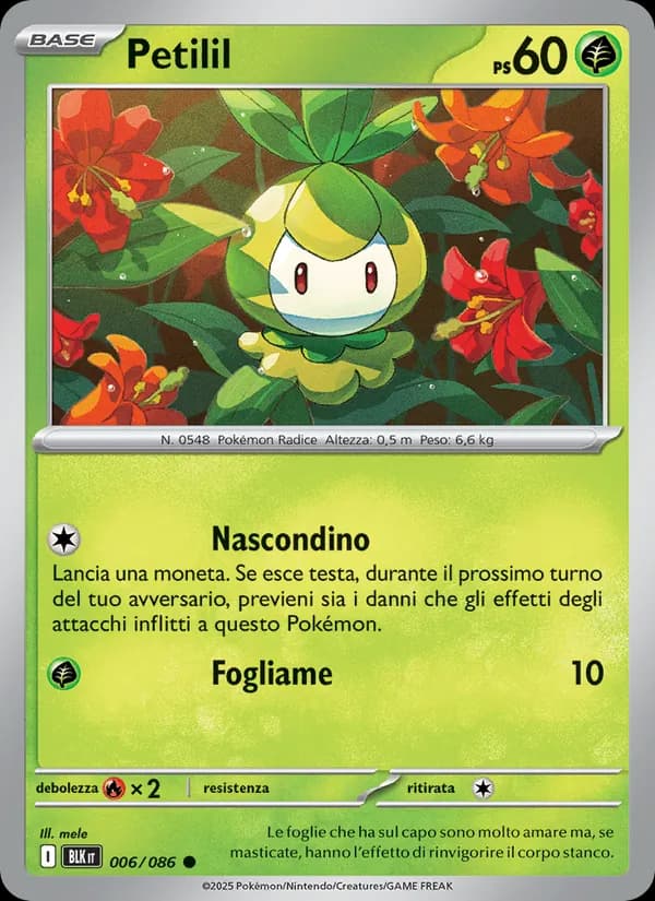Petilil card in Italian