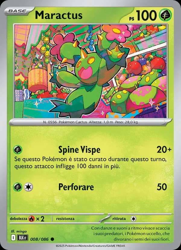 Maractus card in Italian