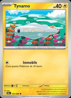 Tynamo card in Italian
