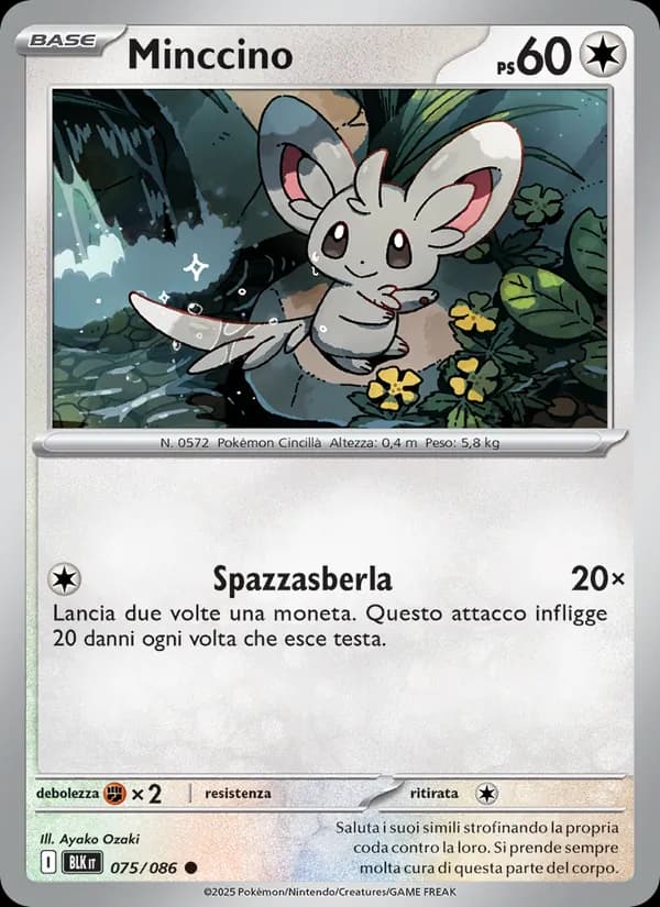 Minccino card in Italian