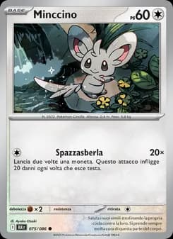 Minccino card in Italian
